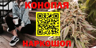гидропоника Дубна
