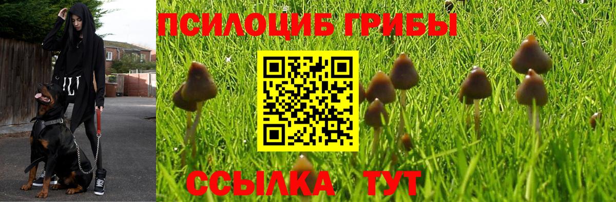 Кировск  Галлюциногенные грибы мухоморы  Вход с VPN 