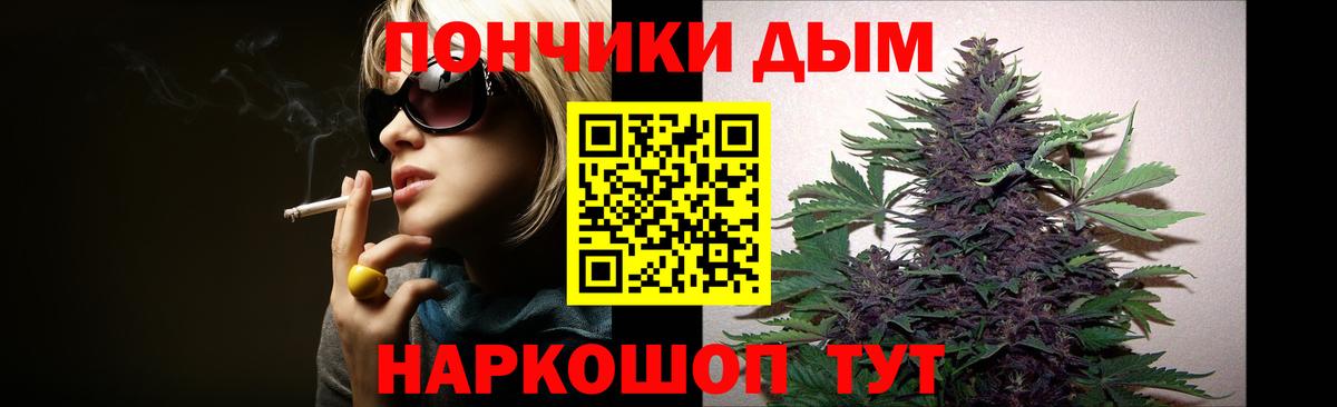 Бошки Шишки сатива  Марихуана план  Кировск  Вход с VPN 